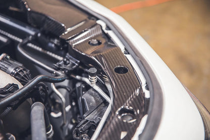 Acura Integra Type S And A Spec DE5 Carbon Fiber Radiator Cooling Plates 2023 - Current